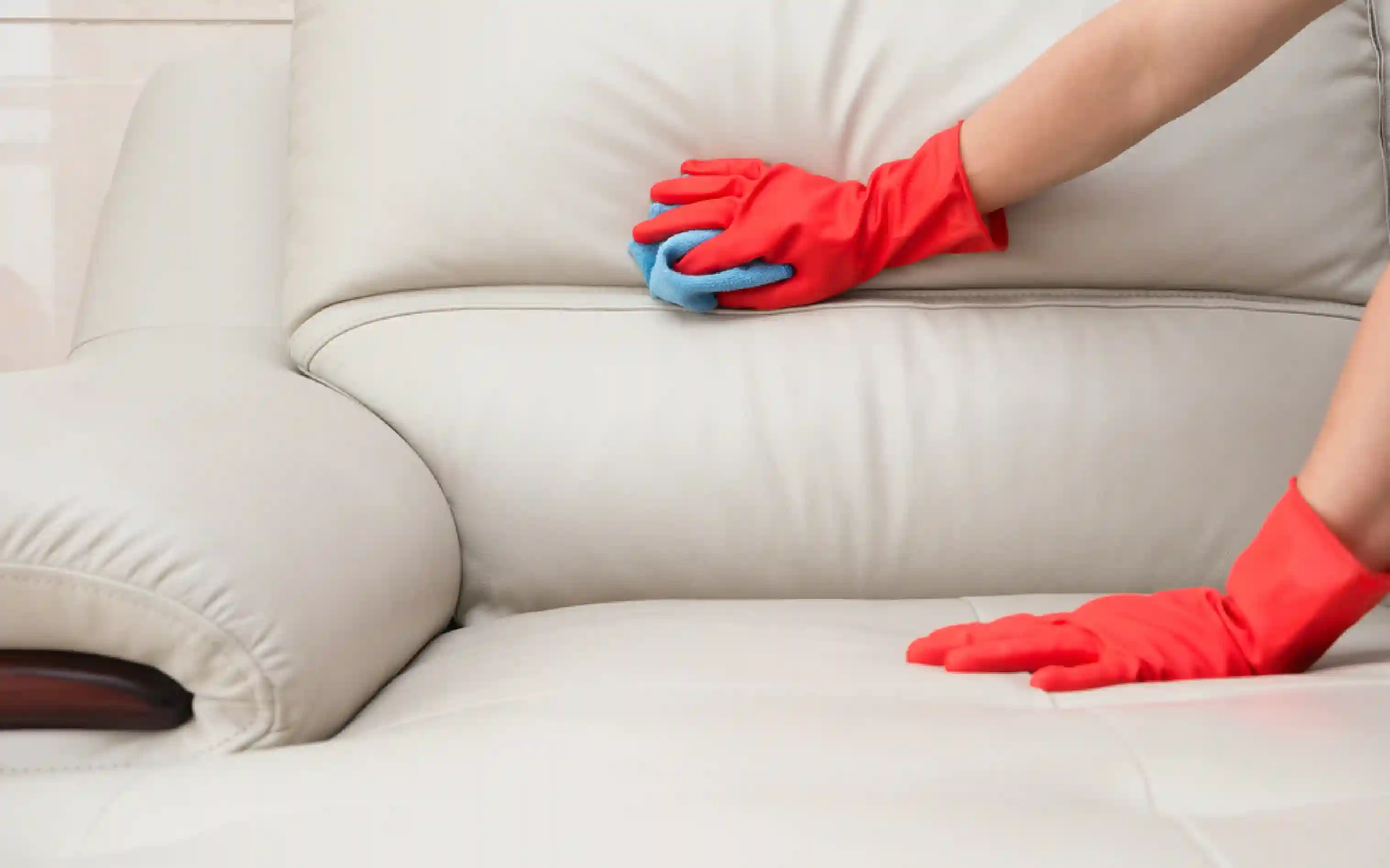 carpet cleaning, carpet cleaners, cleaning services, cleaning services in Nassau, cleaning services in Nassau, carpet cleaning in Nassau, carpet cleaning in Nassau, carpet cleaning Nassau, carpet cleaners in Nassau, carpet cleaners in Nassau, carpet cleaning services, Nassau carpet cleaning, Nassau carpet cleaning, Nassau carpet cleaners, Nassau carpet cleaning services, rug cleaning, rug cleaners, Nassau rug cleaning, Nassau rug cleaners, rug cleaning in Nassau
