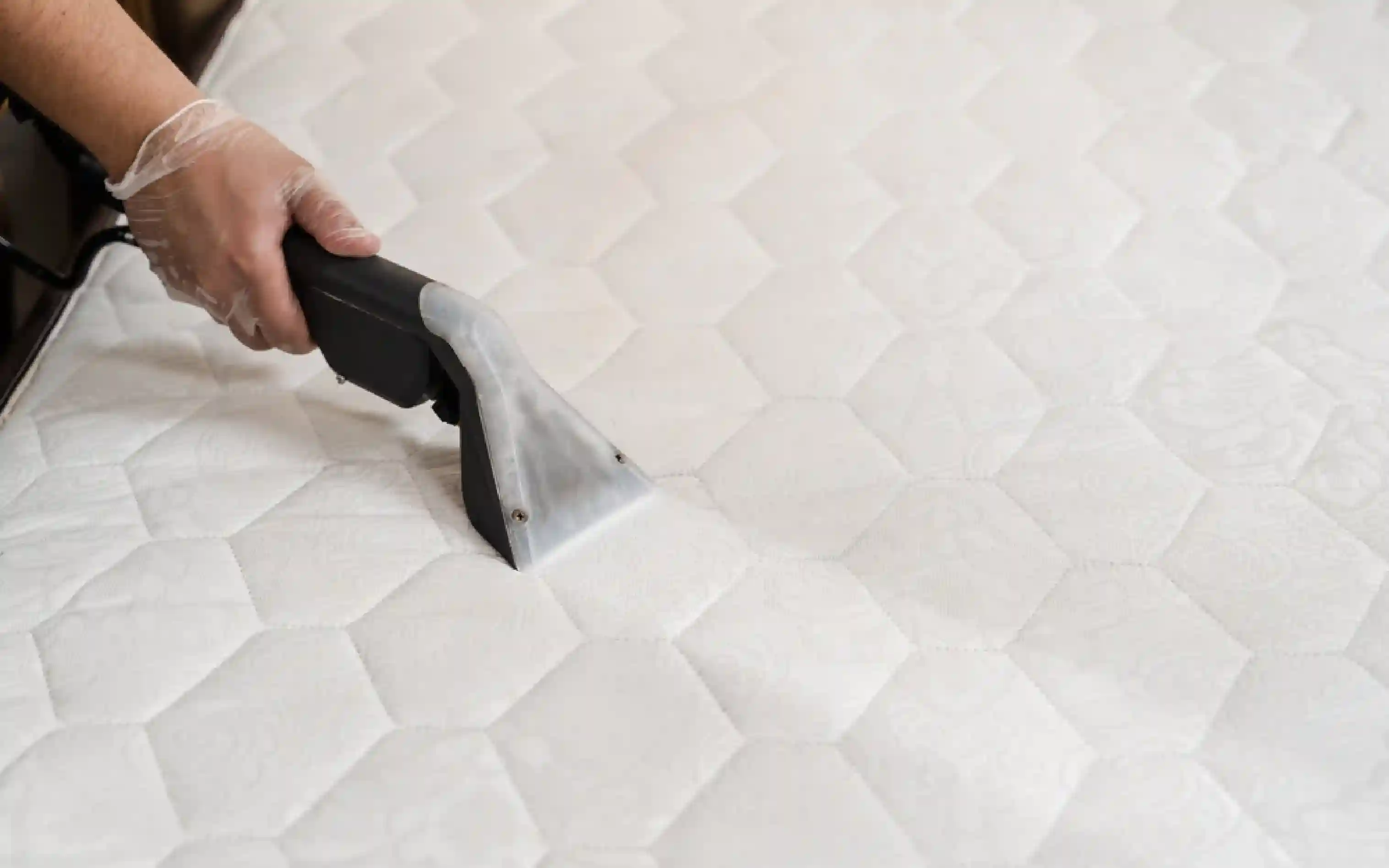 carpet cleaning, carpet cleaners, cleaning services, cleaning services in Nassau, cleaning services in Nassau, carpet cleaning in Nassau, carpet cleaning in Nassau, carpet cleaning Nassau, carpet cleaners in Nassau, carpet cleaners in Nassau, carpet cleaning services, Nassau carpet cleaning, Nassau carpet cleaning, Nassau carpet cleaners, Nassau carpet cleaning services, rug cleaning, rug cleaners, Nassau rug cleaning, Nassau rug cleaners, rug cleaning in Nassau